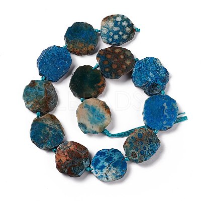 Natural Fossil Coral Beads Strands G-F719-25-1