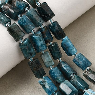 Natural Apatite Beads Strands GG-CBA8682-A06-1