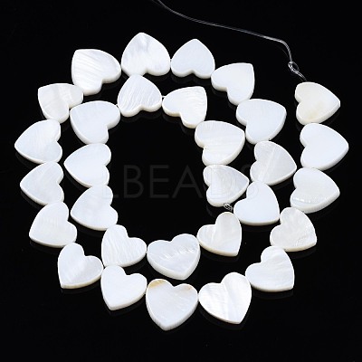 Natural Freshwater Shell Beads Strands SHEL-N027-21-1