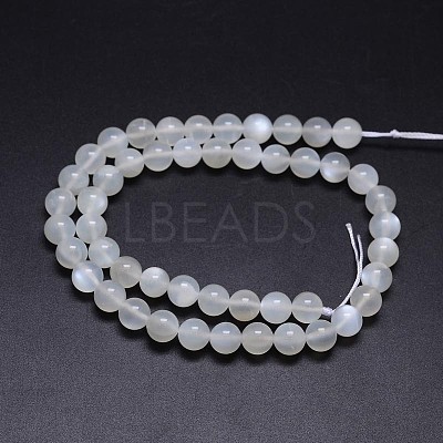 Nature White Moonstone Round Bead Strands G-M262-8mm-04-1