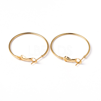 Brass Hoop Earrings EC108-1NFG-1