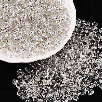 6/0 Baking Paint Transparent Fringe Glass Seed Beads SEED-N006-06A-1
