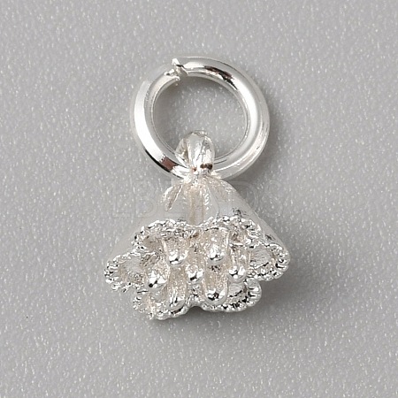 Brass Charms LS-FIND-WH0159-63S-15-1