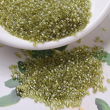 MIYUKI Delica Beads SEED-MY11-DB0124-1