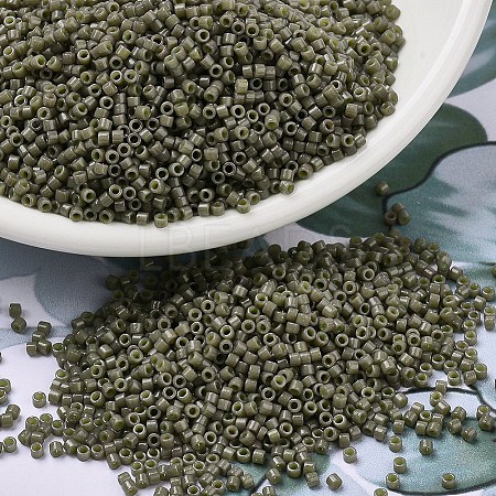MIYUKI Delica Beads X-SEED-J020-DB2365-1