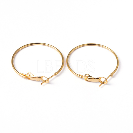 Brass Hoop Earrings EC108-1NFG-1