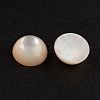 Natural White Shell Mother of Pearl Shell Cabochons SSHEL-G014-13-2