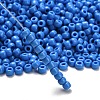 TOHO 6/0 Round Beads X-SEED-TR06-0043D-2
