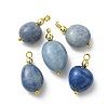 Natural Blue Aventurine(Dyed & Heated) Pendants PALLOY-JF05381-2