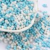 Glass Seed Beads SEED-L011-04A-18-1