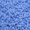 TOHO 6/0 Round Beads SEED-TR06-1146-4