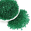3/0 Baking Paint Glass Fringe Seed Beads SEED-A034-04I-3