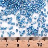 Glass Bugle Beads SEED-S032-09A-633-4