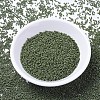 MIYUKI Delica Beads SEED-MY11-DB1135-2