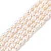 Natural Cultured Freshwater Pearl Beads Strands PEAR-I007-01B-02B-02-2
