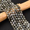 Natural Labradorite Beads Strands G-K389-B66-01-1
