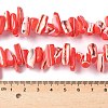 Dyed Natural Trochus Shell Beads Strands SSHEL-C013-09D-4