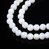 Natural Freshwater Shell Beads Strands X-BSHE-T009B-01A-4
