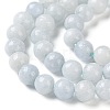 Natural Celestite/Celestine Beads Strands G-M414-A01-01-4