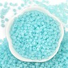 6/0 Luminous Glass Seed Beads X1-SEED-NH0001-01F-4