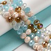 Glass Beads Strands EGLA-A034-M10mm-56-1