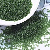 MIYUKI Round Rocailles Beads SEED-G007-RR0158F-4