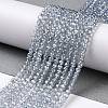 Electroplate Transparent Glass Beads Strands GLAA-H021-01B-FR03-3