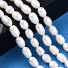 Natural Cultured Freshwater Pearl Beads Strands PEAR-N012-06Q-6
