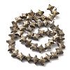 Electroplated Natural Lava Rock Beads Strands G-A251-C01-01B-1