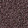 TOHO 11/0 Round Beads SEED-XTR11-0026BF-2