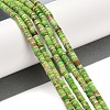 Natural Imperial Jasper Beads Strands G-Q171-A01-01G-2