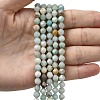 Natural Flower Amazonite Beads Strands G-Z119-A08-01-2
