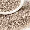 MIYUKI Round Rocailles Beads X-SEED-G008-RR0215-1