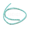 Dyed Natural Freshwater Shell Beads Strands X1-BSHE-G039-07C-2