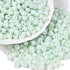 Opaque Baking Paint Glass Seed Beads SEED-T008-02M-1