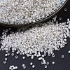 MIYUKI Delica Beads SEED-X0054-DB0221-1