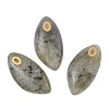 Natural Labradorite Pendants STAS-P380-80G-03-1