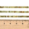 Natural Green Garnet Beads Strands GG-CBA77FB-C01-01-4