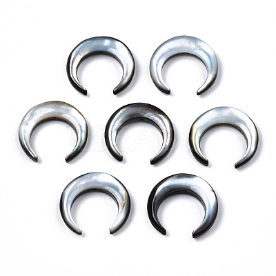 Natural Black Lip Shell Beads SSHEL-N034-122A-02-1