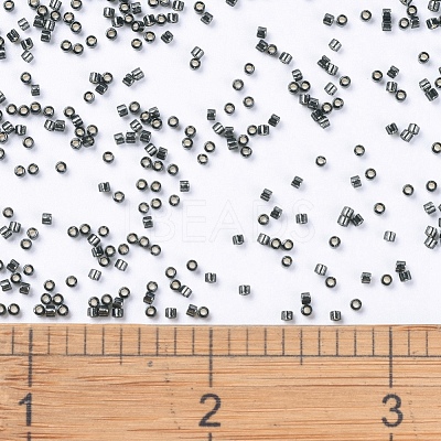 MIYUKI Delica Beads X-SEED-J020-DB0613-1