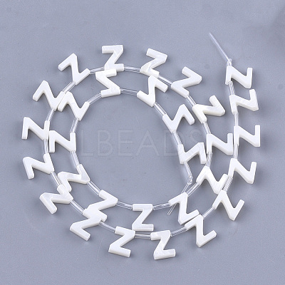 Natural Freshwater Shell Beads SHEL-T012-59-1