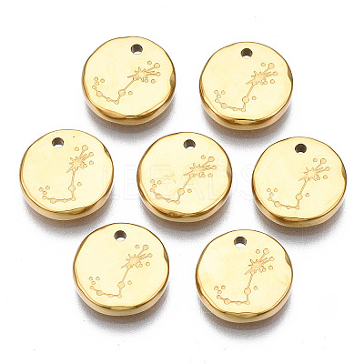 316 Surgical Stainless Steel Charms STAS-S116-418J-G-1