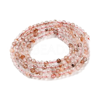 Natural Black Gold Rutilated Quartz Beads Strands G-N342-21A-01-1