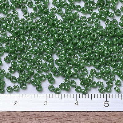 MIYUKI Round Rocailles Beads X-SEED-G007-RR0431-1