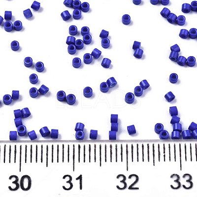FGB 11/0 Grade A Glass Seed Beads SEED-S030-1024-1