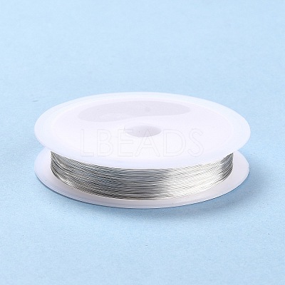 Copper Jewelry Wire CWIR-CW0.3mm-24-1
