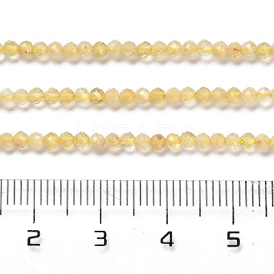 Heated Natural Citrine Beads Strands X-G-Z074-A03-01-1