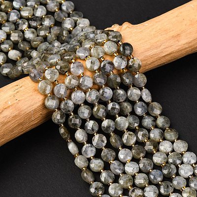 Natural Labradorite Beads Strands G-K389-B66-01-1