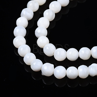 Natural Freshwater Shell Beads Strands X-BSHE-T009B-01A-1