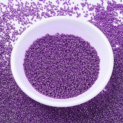 MIYUKI Delica Beads X-SEED-J020-DB0431-1
